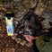 Hunt Nutrition KIT